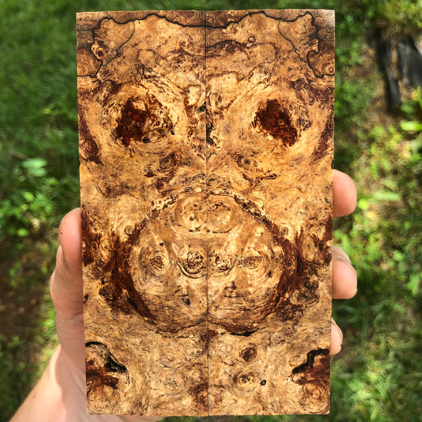 Spalted Maple Burl Knife Scales