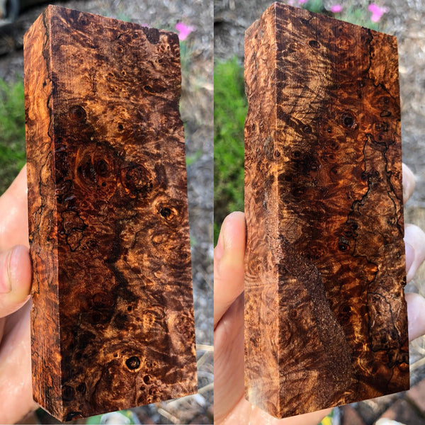 Spalted Maple Burl Blank