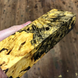 Dyed Buckeye Burl Hybrid Blank 5 1/2”L x 1 7/8”W x 1 1/16” thick